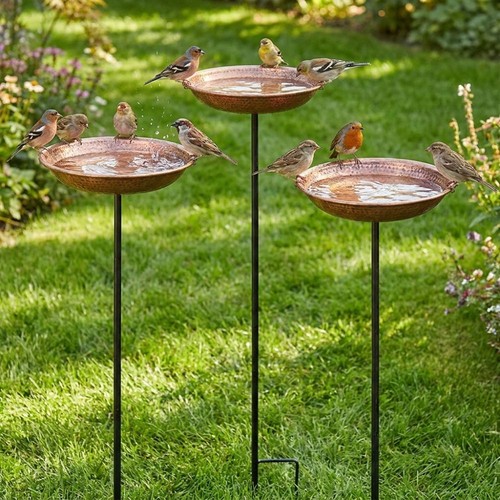 Metal bird feeding - bird,