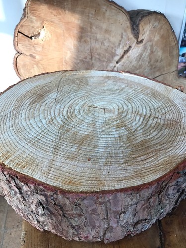 Rustic log slice - (46cm),