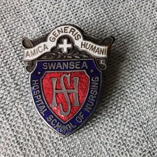 Swansea Hospital School Of