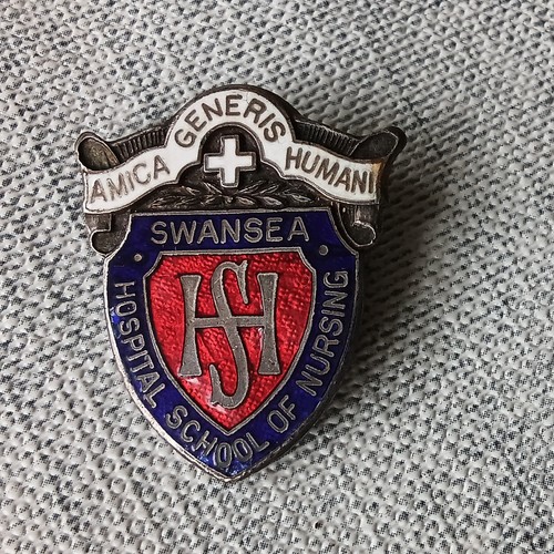 Swansea hospital school - hospital,