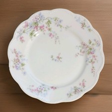 Antique Haviland Limoges China