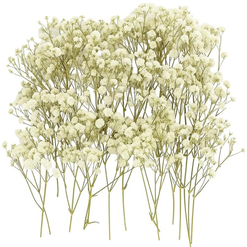 100 pcs baby breath flowers - baby,