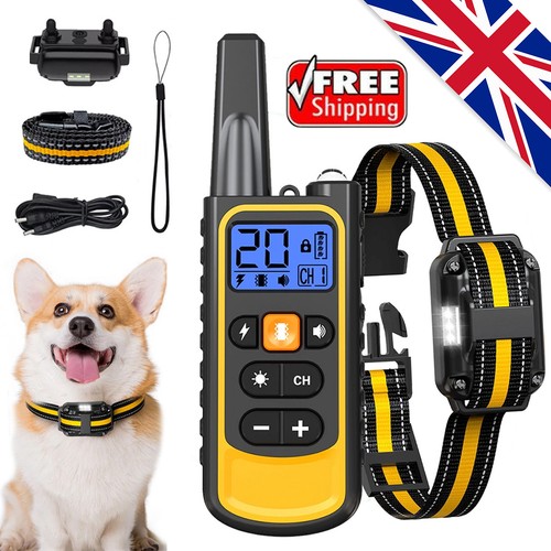 800m electric pet dog - 800m, training