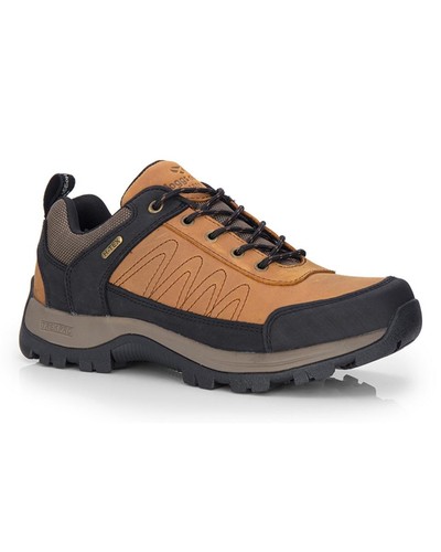 Hoggs fife corrie adventure - corrie,