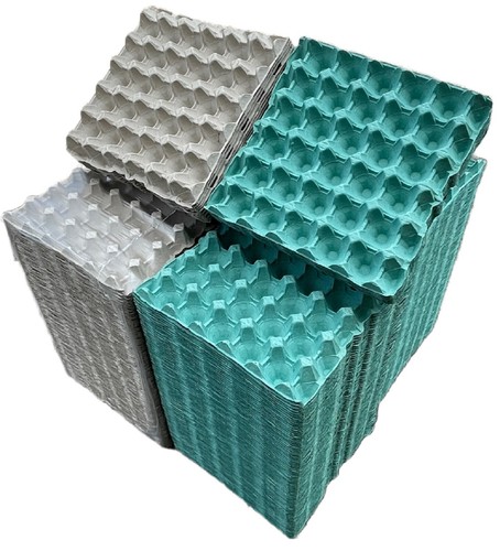 Egg trays grey - trays,