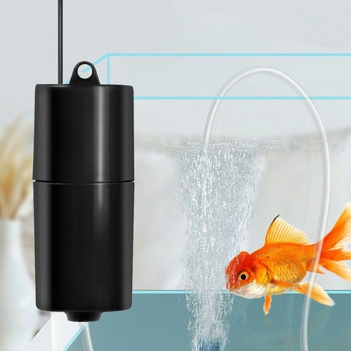 Portable aquarium oxygen - uk,