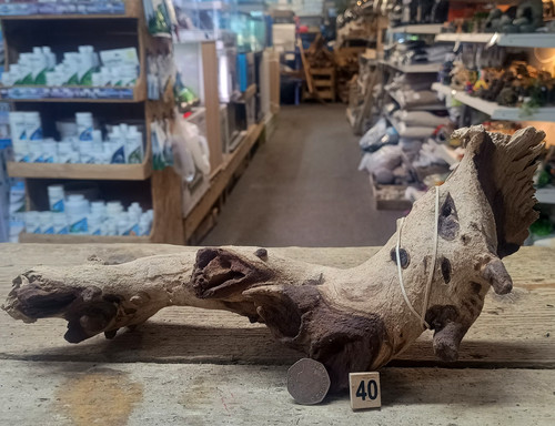 Small medium mopani wood - mopani,