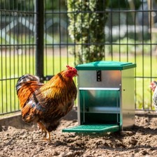 Feedomatic Treadle Chicken