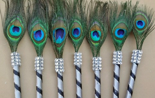 Peacock feather pen party - 10,