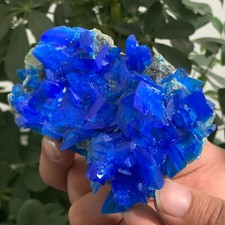 168G Natural blue copper sulfate mineral specimen healing