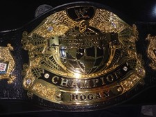 WWE Undisputed V1 Plates