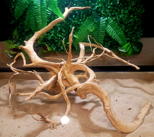 Red moor wood - root, aquarium