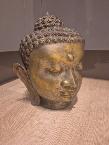 Buddha head - ,
