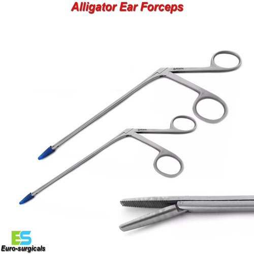 Alligator ear crocodile - ear,