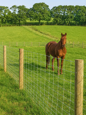 Stock Fencing M8/100/15