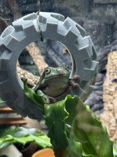 Frog Gecko Reptile TYRE SWING! Perfect Enrichment Swing, Ledge, Hide 