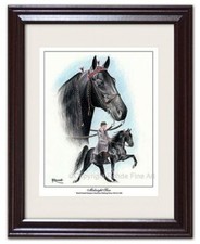 TENNESSEE WALKER walking HORSE