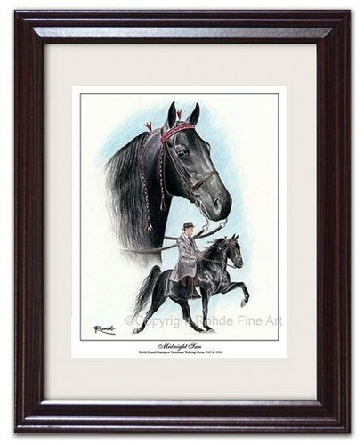 Tennessee walker walking - walker, horse