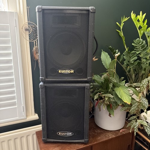 Pair kustom ksc10 - passive, pa