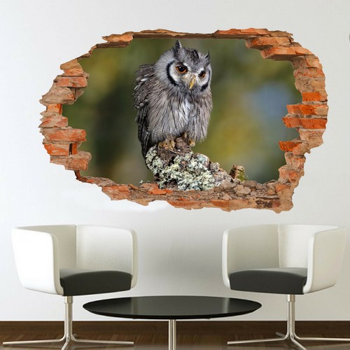 Wildlife birds beautiful owl - birds,