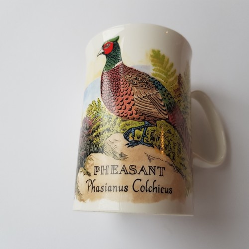 Dunoon pheasant game bird - dunoon,
