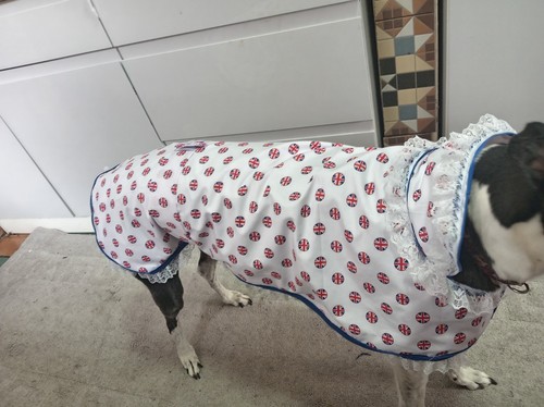 Greyhound union jack fun - greyhound,