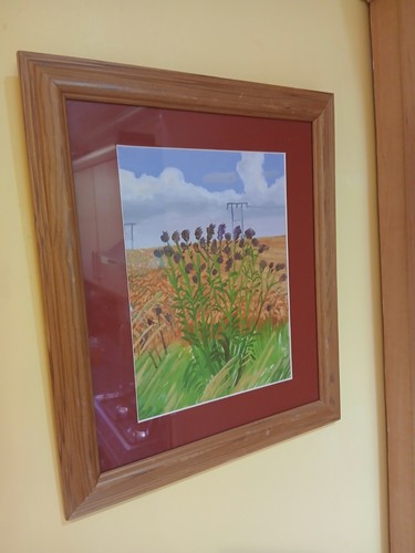 Wheat field off - wheat, woldgate