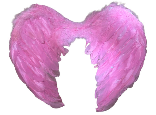 Pink angel wings - wings, 45x35cm