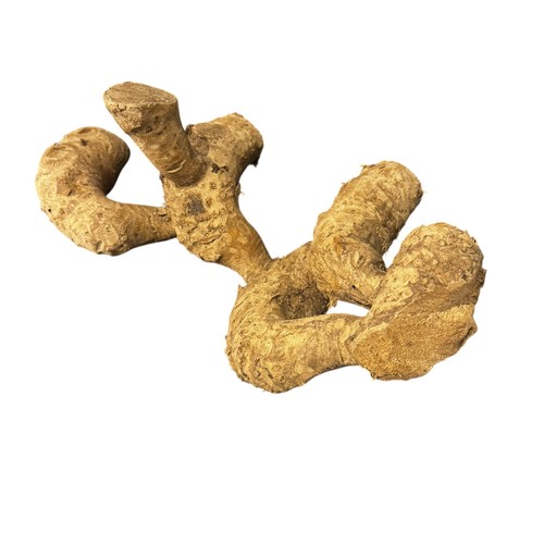 Small bamboo root branch - small,