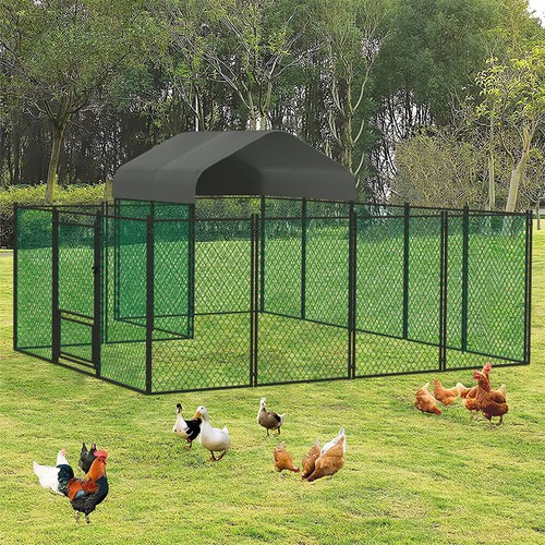 Xxl chicken run cage - xxl, walk
