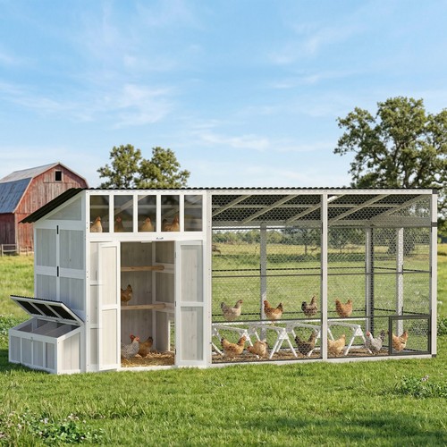 Large chicken coop for - large, 10-15