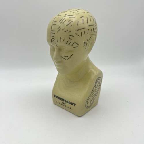 Vintage phrenology head bust - vintage,