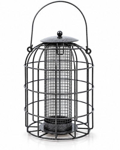 Bird peanut feeder squirrel - peanut,