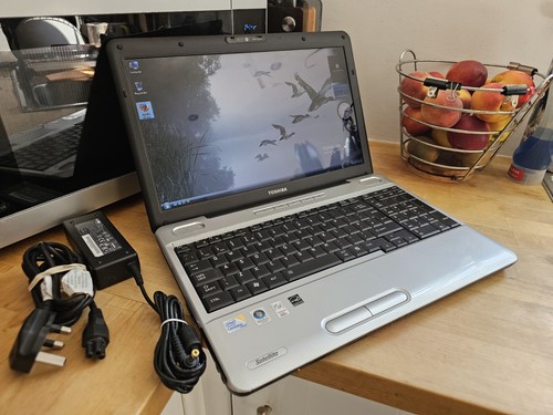 Toshiba satellite l500 intel - toshiba,