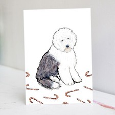 Old English Sheepdog Christmas