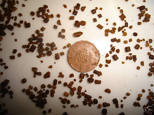Koi fry food feed goldfish - koi,