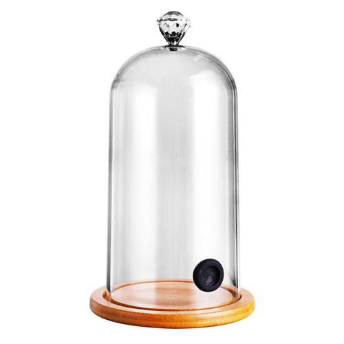 Plastic smoking cloche hood - plastic,