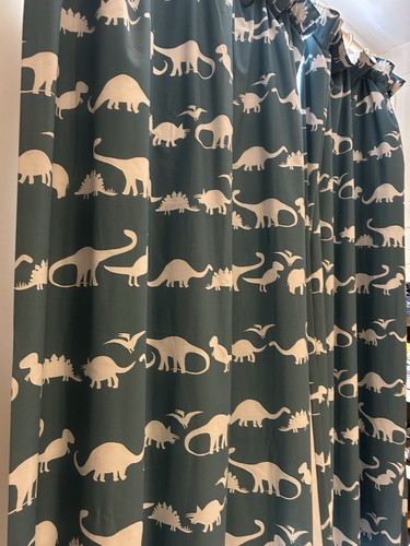 Kids dinosaur blaclined - kids,