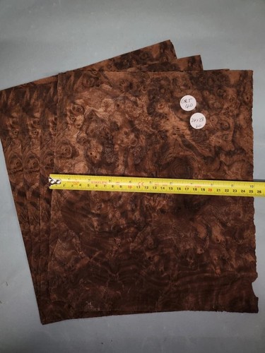 American walnut burr veneer - american,