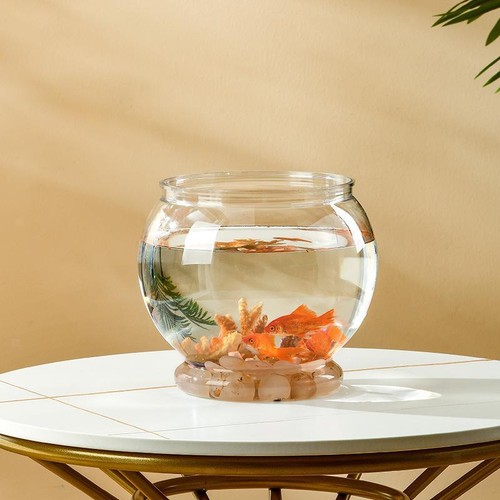 Fishes tank clear aquarium - fishes,