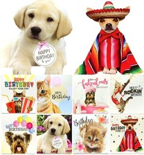 Multi Pack x 8 Mixed Assorted