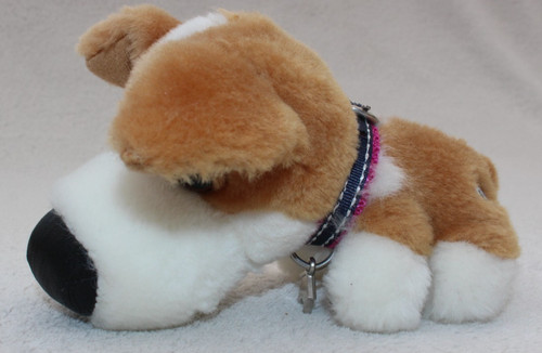 Welsh corgi the - dog, artlist