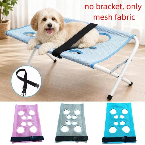 Nail trimming helper pet - trimming,