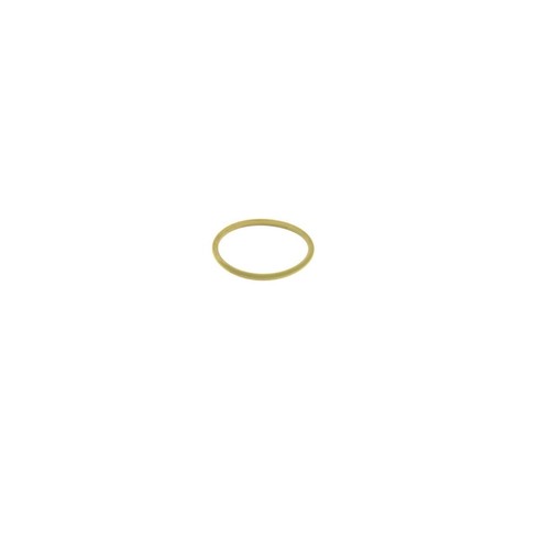 Injector ring new - injector, oe