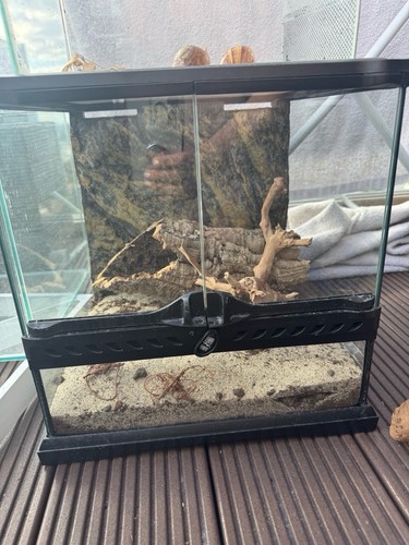 Exo terra glass terrarium - exo,