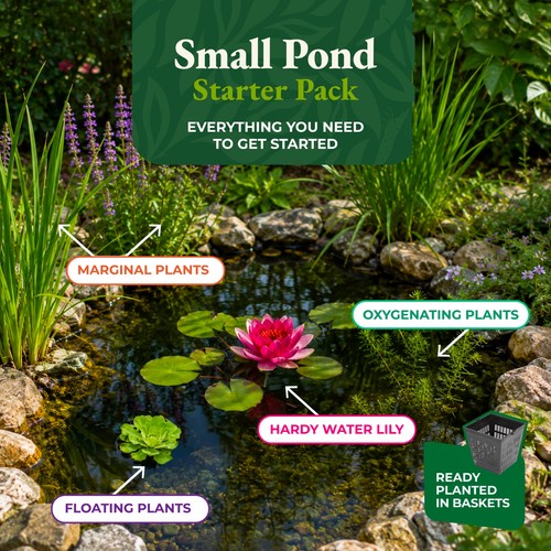 Small pond starter pack - small,