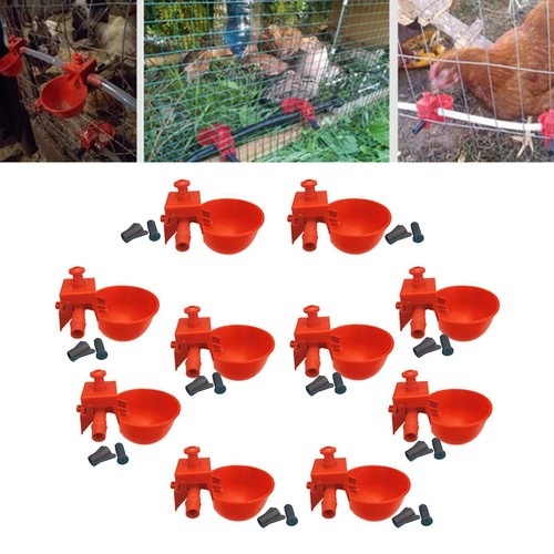10pcs bird cage - bird, coop
