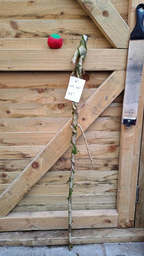 Twisted twisty wood - twisty, hazel