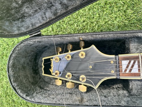 Aria pro hollow body - hollow,