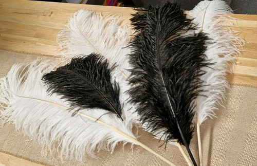 Real ostrich feathers - real,